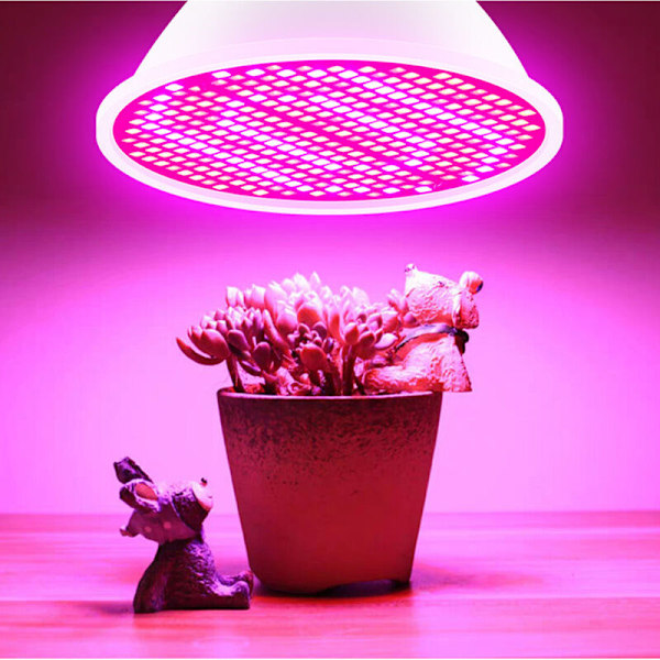 LED-kasvivalo sisäkäyttöön, punainen ja sininen spektri, E14-LED-kasvivalot, hydroponinen kasvivalo, mehikasveille