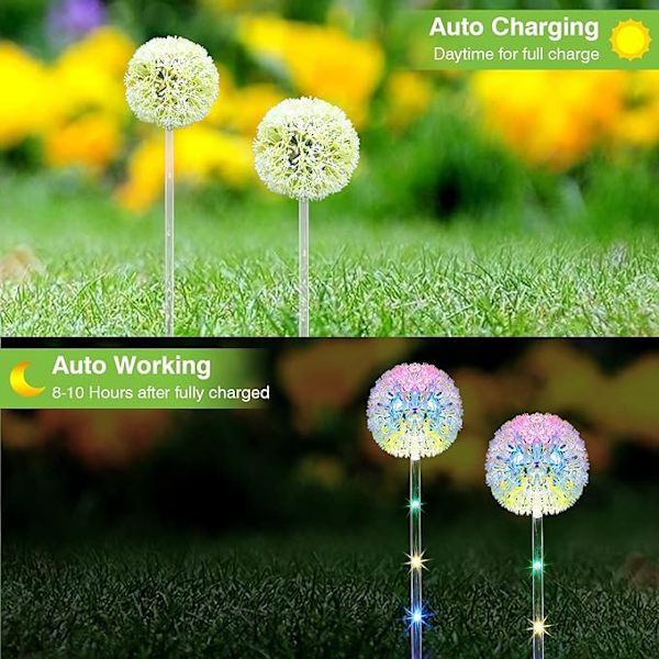 Utendørs solcellelamper Dandelion solcellelamper (2 stk) med Colo