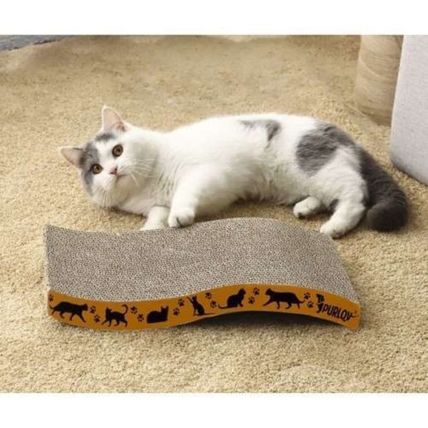 Kissan raapimapuu - Raapimapuu - Catnip Multicolored