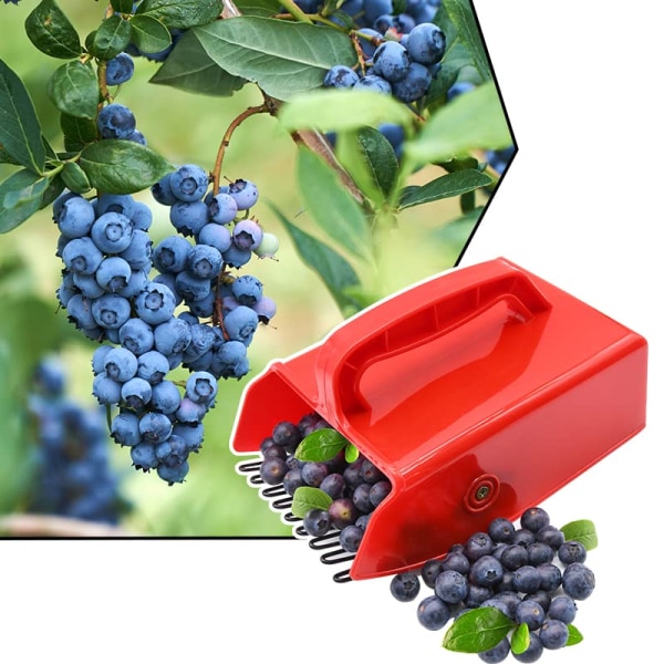 Effektivt bærhøstsæt: blåbærske med ergonomisk håndtag, perfekt til tyttebær og hucklebær - pakke med 1/2/4 2pcs