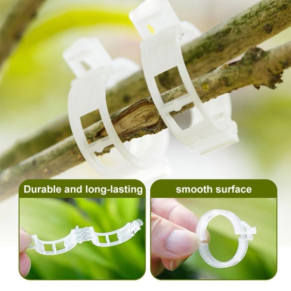 2024 Upgrade Plant Support Clips: Sikrede plastik Clips til klatreplanter, grøntsager, tomater, vinstokke green 100pcs