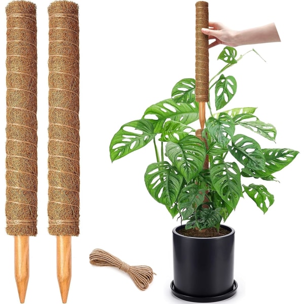 2-pack staplingsbara mossstänger för klätterväxter - Stora kokosväxtstödstakar - perfekt för inomhusväxter Monstera, Pothos och Philodendron 50cm