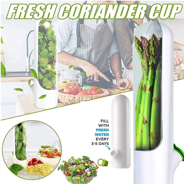 Urtesparer for kjøleskap, korianderbeholder for kjøleskap, urtekonserveringsbelger, koriander, persille, asparges, grønnsaker i 2-3 uker white single