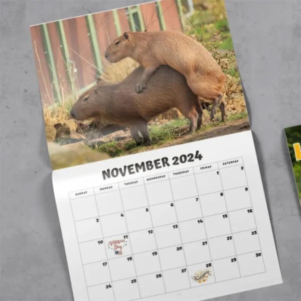 Bedårande Animal Friends 2024-kalender - Lekfulla och hjärtvärmande vilda ögonblick - perfekt för djurälskare [Begränsat lager] 2024