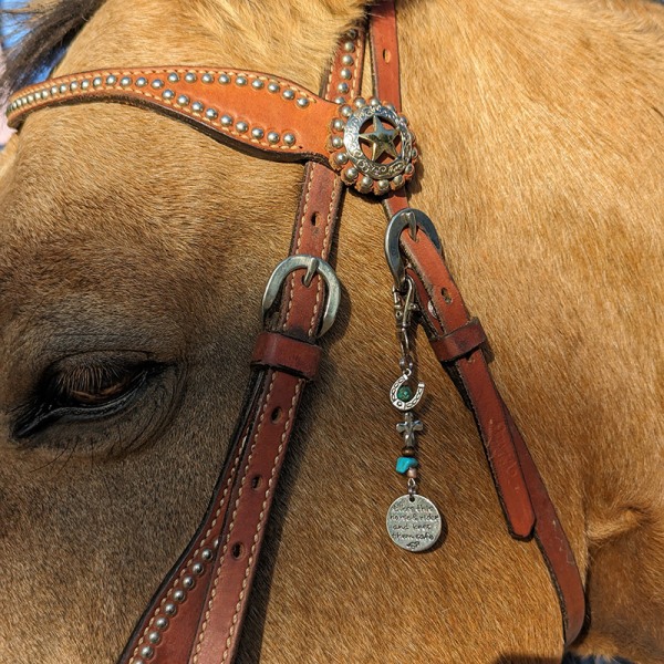 Horse Lover's Bridle Charm Clip - Stilig ornament for rideentusiaster B