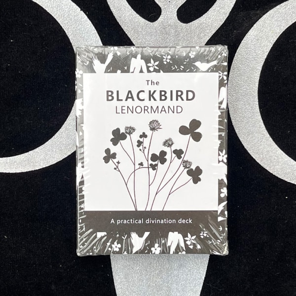 78st Adventure Times Tarot för nybörjare Klassiska tarotbrädspelskort blackbird lenormand