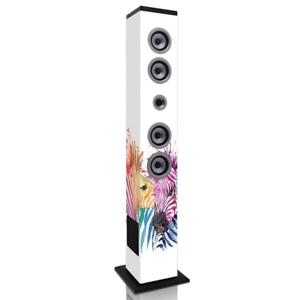 Ices IBT-6, trådbunden och trådlös, 3,5 mm-Bluetooth, 40 W, Multi Vit