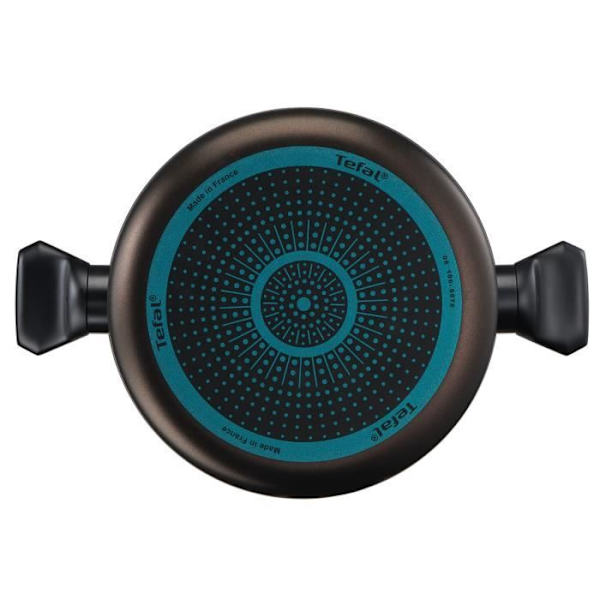 TEFAL Easy Cook & Clean holländsk ugn 24 cm + glaslock, icke-induktion, non-stick beläggning, tillverkad i Frankrike B5544602 kastanj