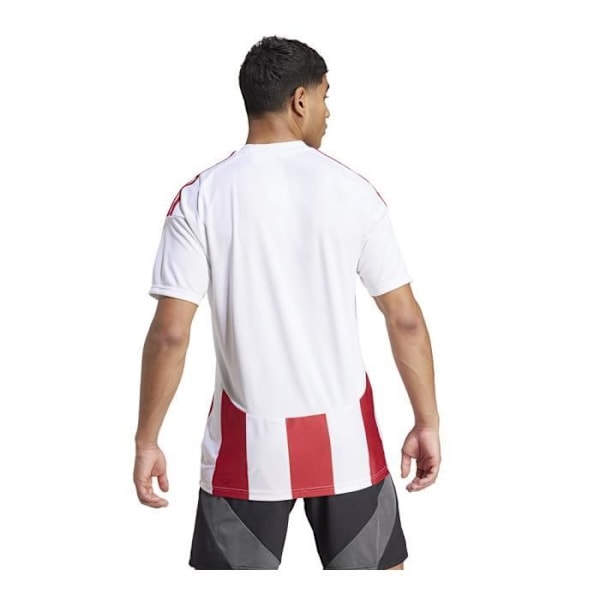 T-shirt - Adidas - Randig 24 IW2142 - Röd - Regular - Kortärmad Röd jag