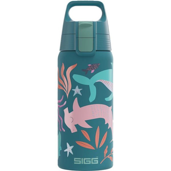 Gourde - bidon - flask isotherm Sigg - 6022.90