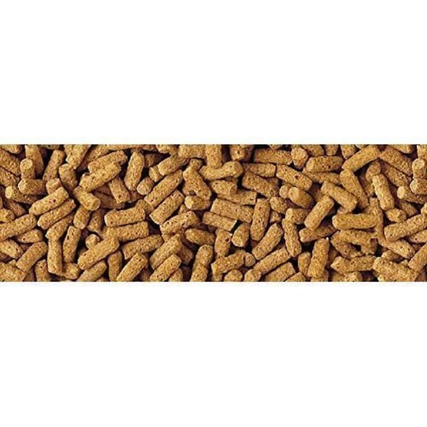 Fiskfoder - Tetra Pond - Vetegrynssticks - Flytande - Speciellt för kallt väder - 32% protein