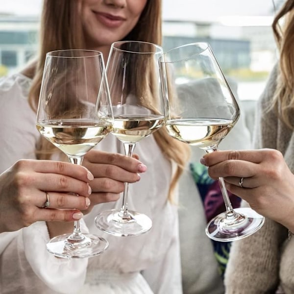 Vitt glas för vitt vin - KROSNO - Avant-Garde - Set med 6 - Kristallglas - 390 ML Transparent