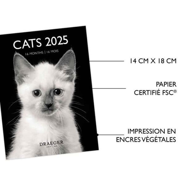 Liten Väggkalender 14x18 cm - 2025 - Draeger Paris