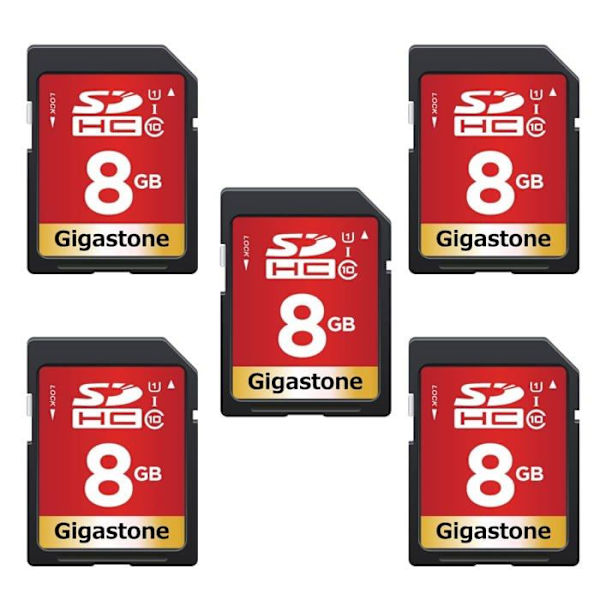 Minneskort - Gigastone flashminne - GS-SDHC1008G-R