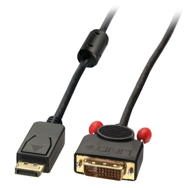 LINDY DisplayPort till DVI Adapterkabel - 0,5m