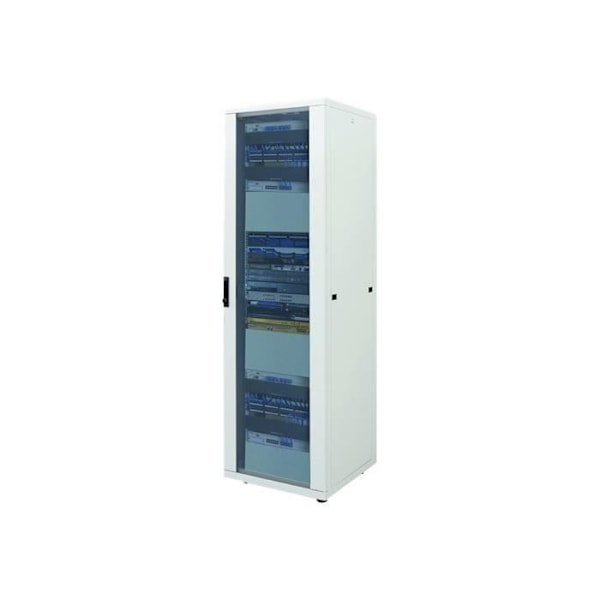 Rack Intellinet grå, RAL 7035 42U 19" - Låsbart frontparti - Avtagbar sidopanel - Glasdörr