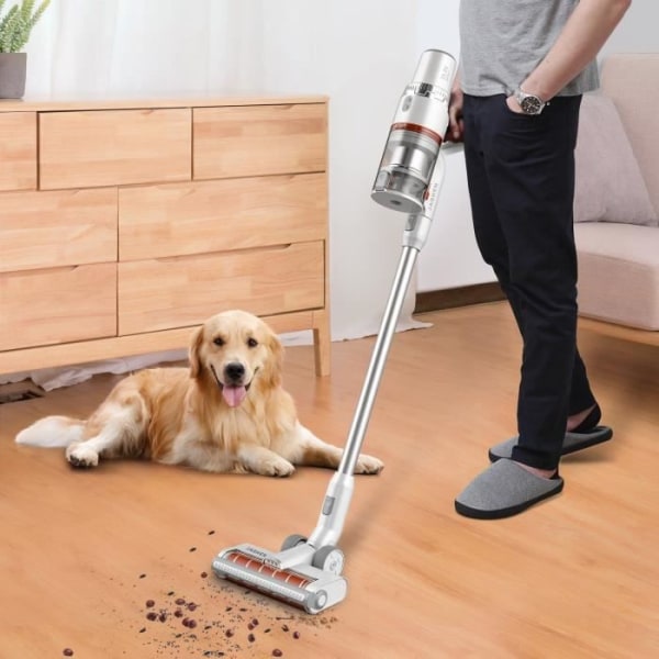 JASHEN S16E - Sladdlös stickdammsugare - 350 W - 2 i 1 Smart Floor Head - 40 min autonomi - Dubbel väggladdning