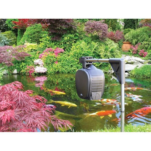Automatisk fiskmatare - HOZELOCK - Kapacitet 800 ml - Inomhus - Elektrisk
