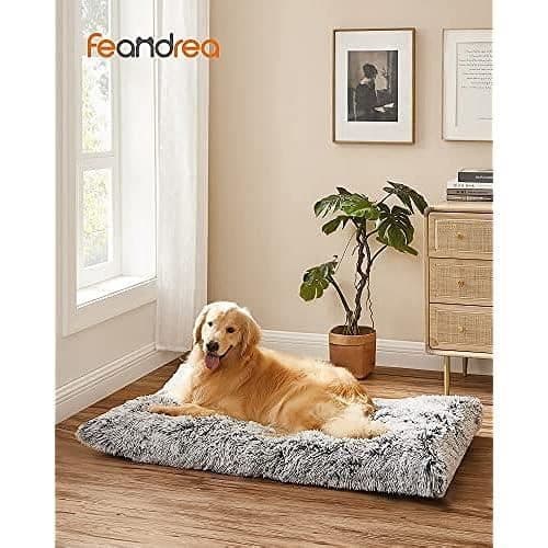 Hundkorg - FEANDREA - Soffa, Säng för Djur - Grå - Stor - 122 x 74 cm