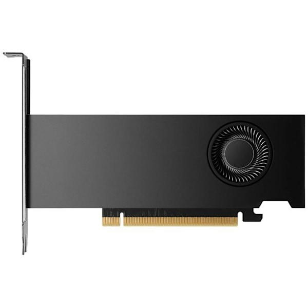 NVIDIA RTX 2000 Ada