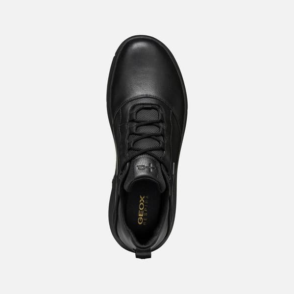 Baskets Geox Nebula B ABX A svart 45