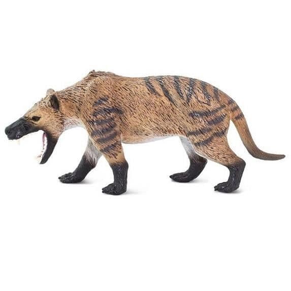 Hyaenodon safari