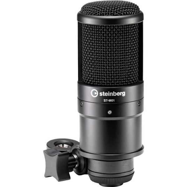 Steinberg UR22 MKII Recording Pack Elements Edition ljudgränssnitt