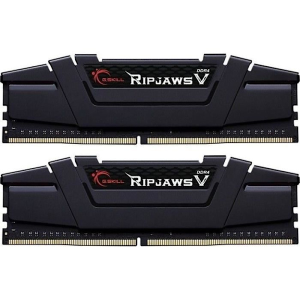 G.SKILL Minne DIMM DDR4 64GB 2666MHz 19CL 1.2V DUBBEL - F4-2666C19D-64GVK