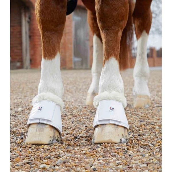 Skyddsglömma för häst Premier Equine Carbon Tech Techno Wool Över Reach vit S
