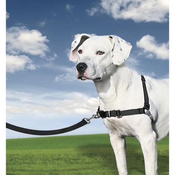 Sele - PetSafe - Easy Walk - Anti-Traction - Bekväm - 4 justeringspunkter - Svart - M Svart