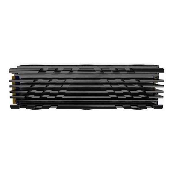 PNY - Intern SSD - CS3040 - 500 GB - M2 NVMe kylfläns (M280CS3040HS-500-RB)