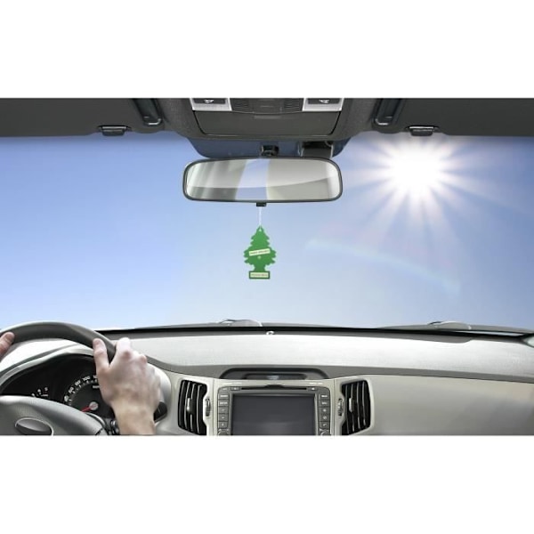 MAGIC TREE Green Apple Air Freshener Grön