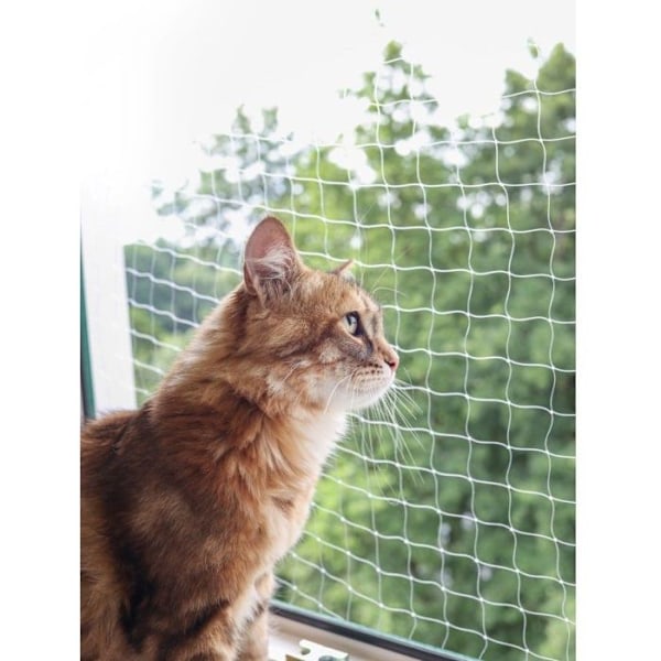 Transparent kattnät, 4 x 3 M Transparent