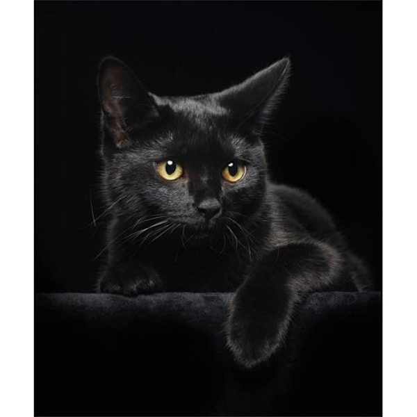 Konstverk - Diamond Dotz - Svart katt - 13 facetter - För barn från 8 år Svart