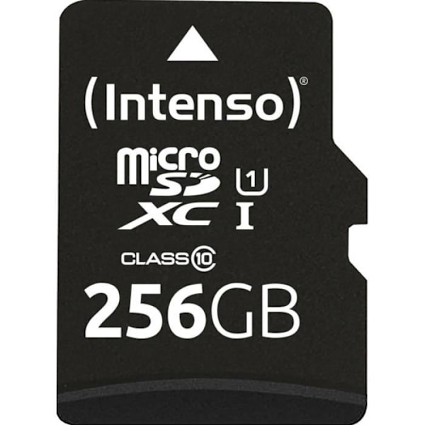 microSD-kort - INTENSO - Prestanda 256GB - Klass 10 - Vattentät