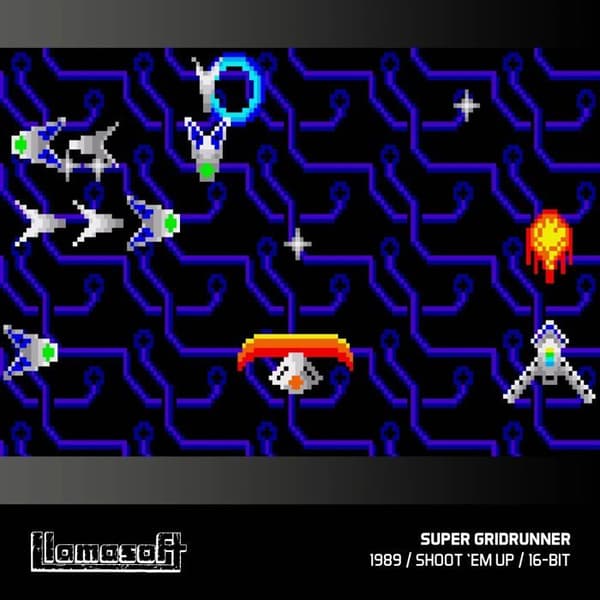 Blaze Evercade - Llamasoft-samlingen - Kartusch nr 10 "Hemdatorer"