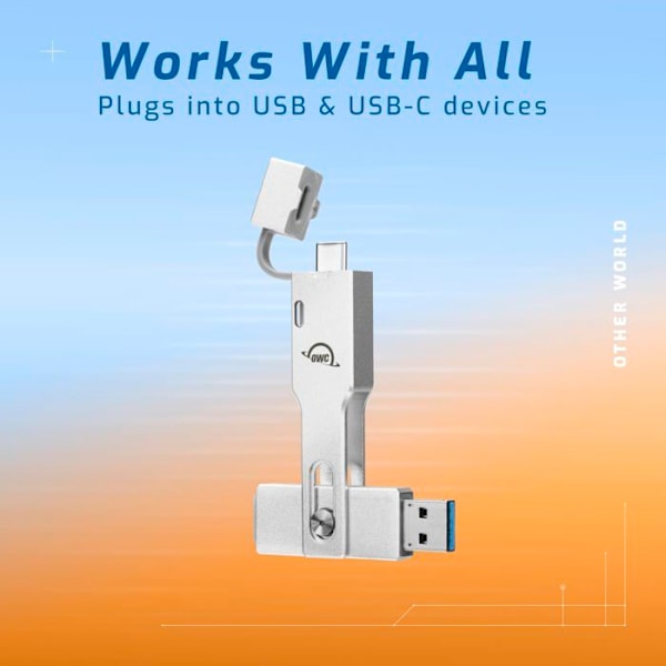 Bärbar SSD - OWC - ENVOY PRO MINI - 1 To - USB-C + USB-A - Grå