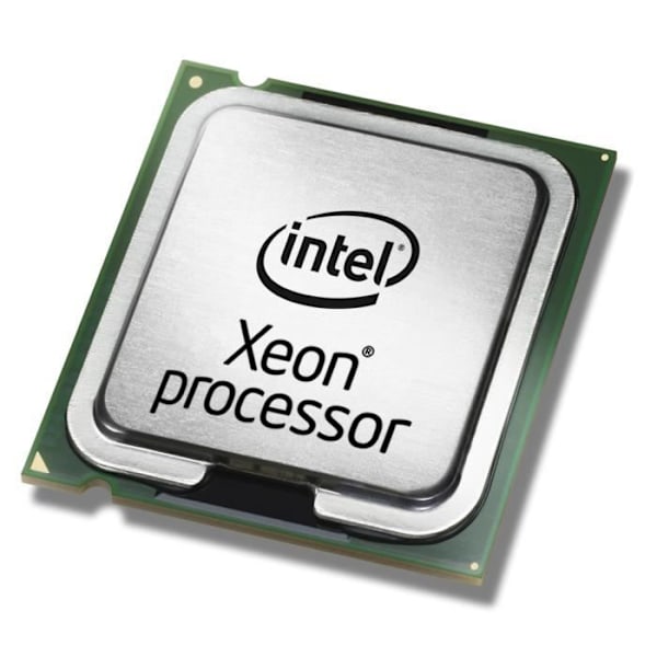 Processor - Intel - Xeon E5-2623 v4 - 4 kärnor - 2,6 GHz - LGA 2011-v3