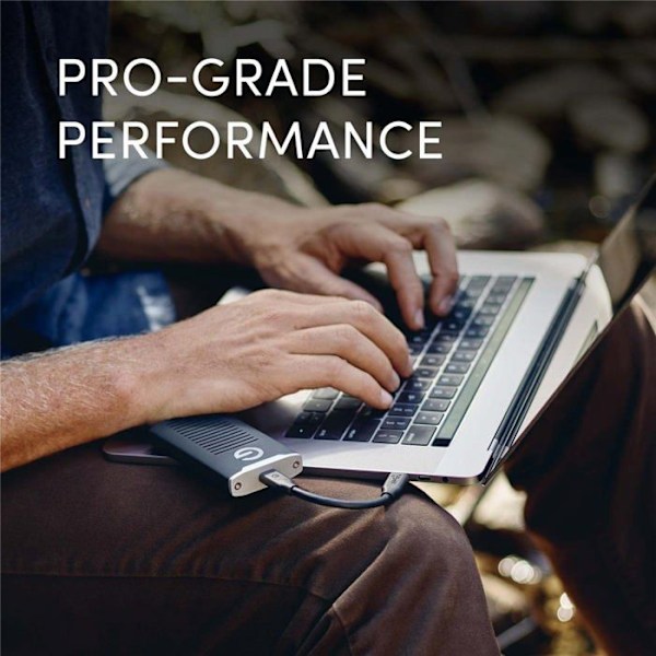 SanDisk Professional SANDISK P
