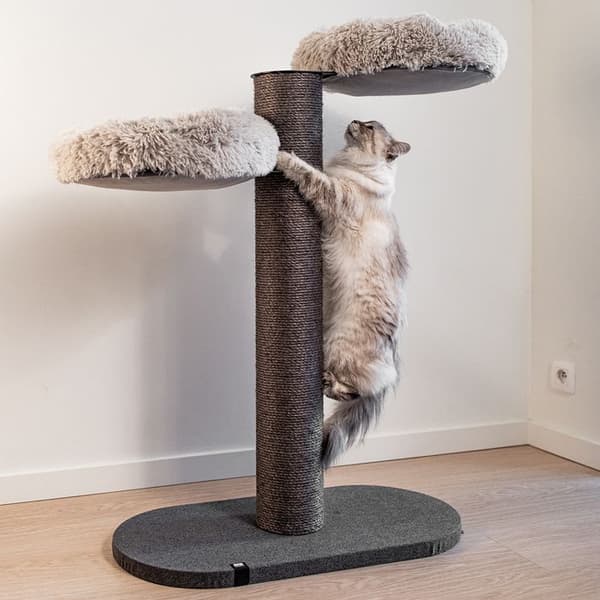 Kattträd Ebi Skye Träkol/Vit