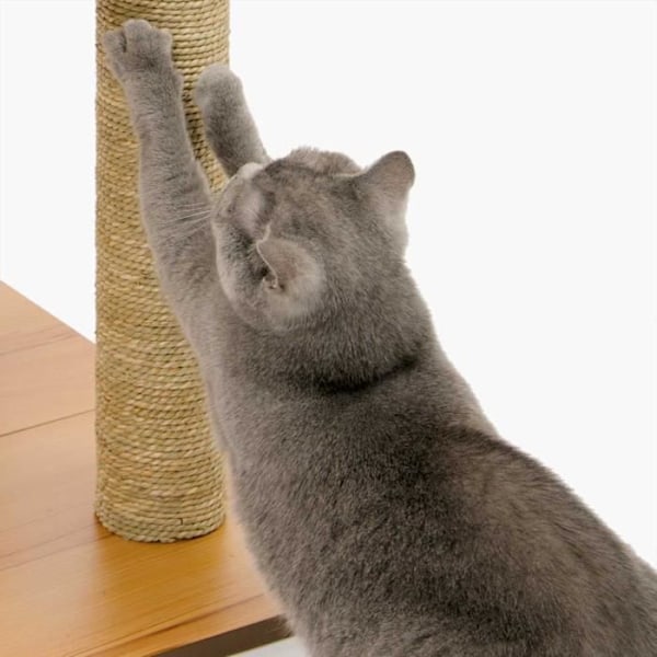 Vesper V Cat Tree - Hög valnötsbas - höjd: 120 cm Vit