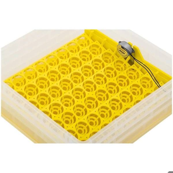 Ägginkubator - IN-112DDI Gul