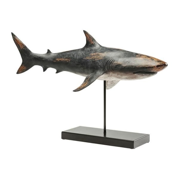 Deco Object Shark Base Kare Design