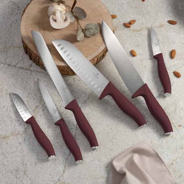 Set med knivar i rostfritt stål 6 st Leonardo Collection - BERLINGERHAUS
