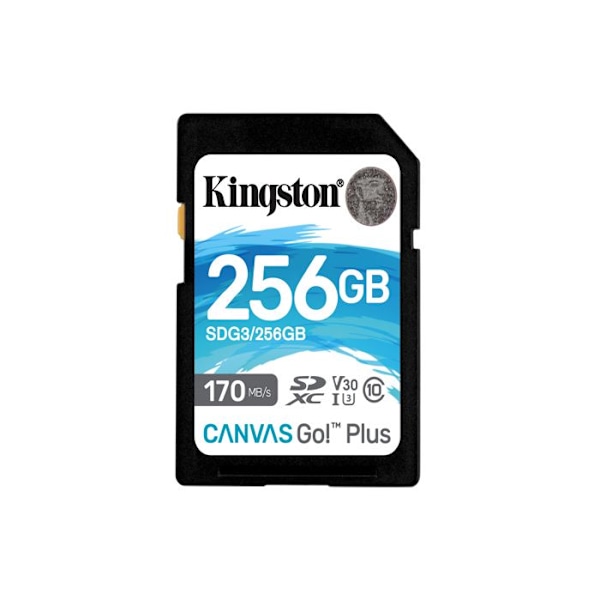 Kingston SDG3/256GB SD-kort minneskort (256GB SDXC Canvas Go Plus 170R C10 UHS-I U3 V30)