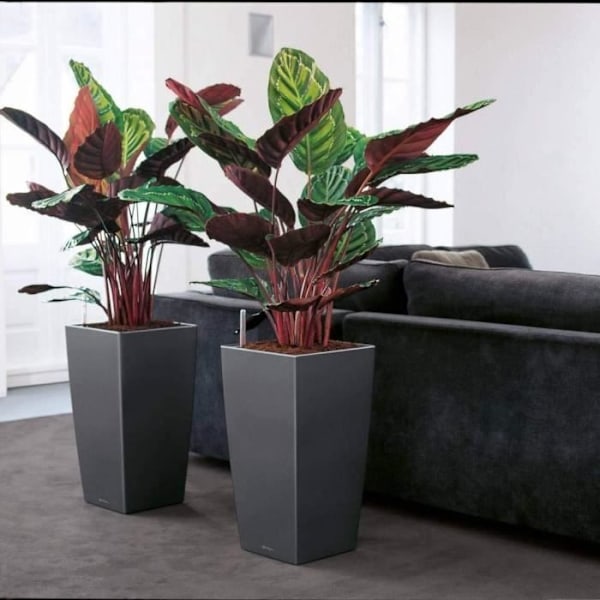 LECHUZA Planteringsmaskin Cubico 40 ALL-IN-ONE Charcoal 18194 metallisk antracit