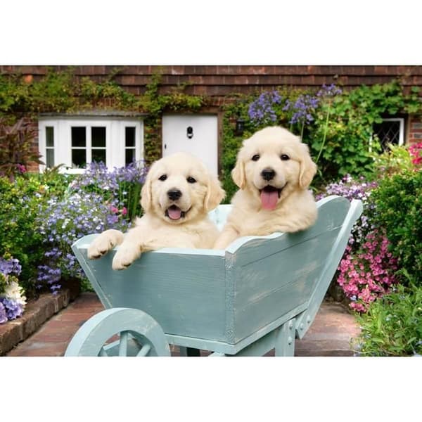 Pussel 200 bitar: Golden Retriever