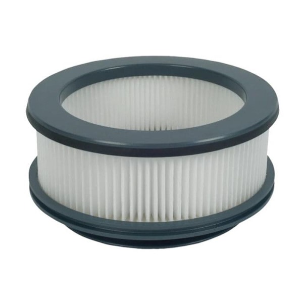 Filter motor ZR009008 för Dammsugare ROWENTA, XFORCE FLEX 11.60, XFORCE FLEX 12.60 AUTO, XFORCE FLEX 14.60, XFORCE FLEX [...]