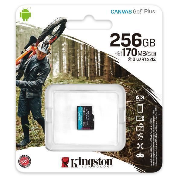 FÖRVARING, Minneskort, Micro SD, Kingston 256 GB Microsd Canvas Go Plus