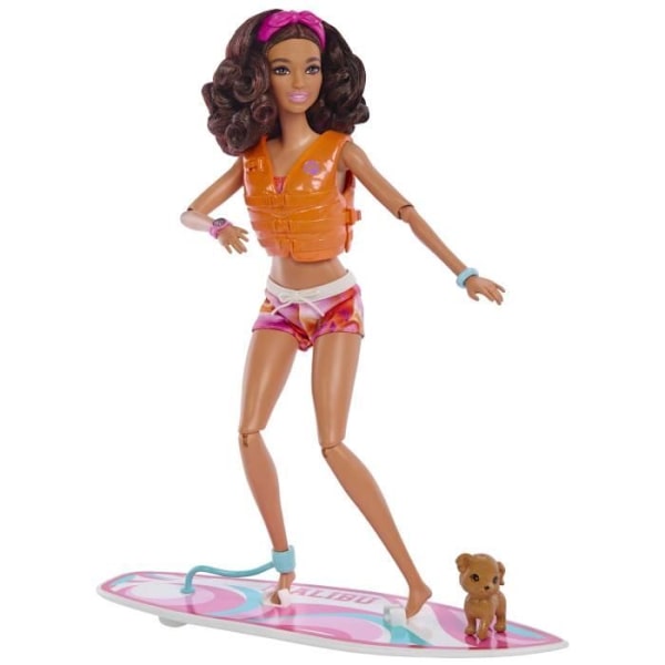 BARBIE - BARBIE BARBIE SURFDOLL + ACCY (CP6) - 21A - docka - 3 år och + Flerfärgad